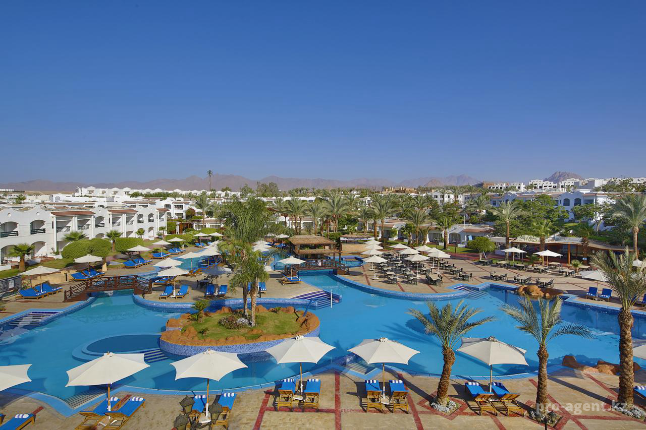 Sharm Dreams Resort (Египет, Шарм-эль-Шейх) - фото, отзывы, туры в отель |  PegasSales