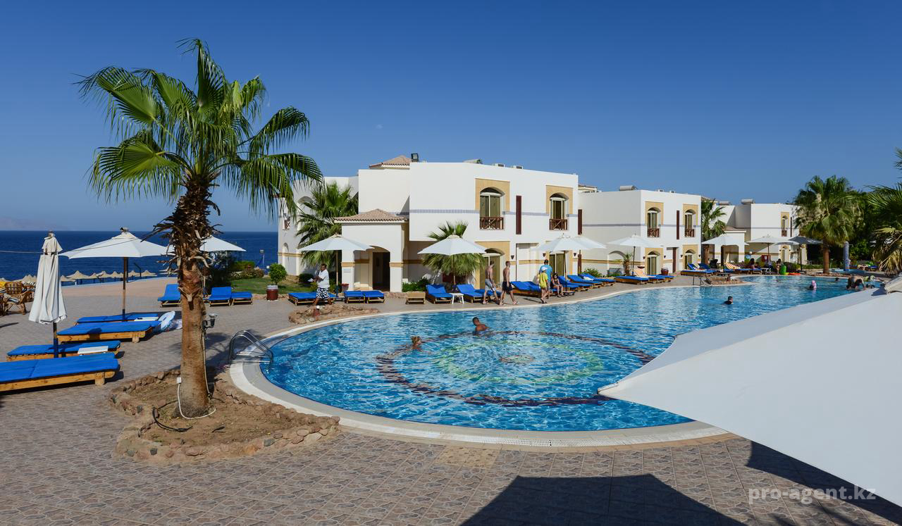 Otium Hotel Aloha Sharm (Египет, Шарм-эль-Шейх) - фото, отзывы, туры в  отель | PegasSales